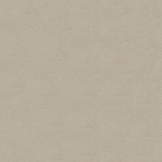 NICHOLASJOHN INC NJ-RADE Beige Solid   Fabric - NJ25-3453
