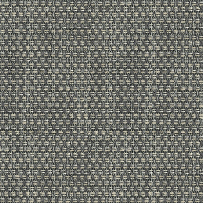 Close-up of gray tweed upholstery fabric with black and beige specks and a dense, woven texture.
