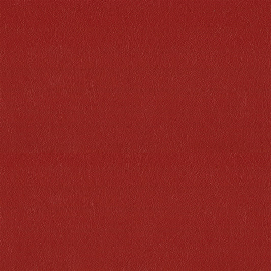 NICHOLASJOHN INC NJ-NAU Red    Fabric - NJ25-2403