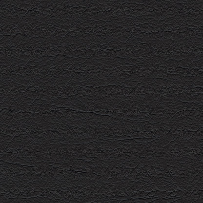 NICHOLASJOHN INC NJ-AREES Black Solid   Fabric - NJ25-142