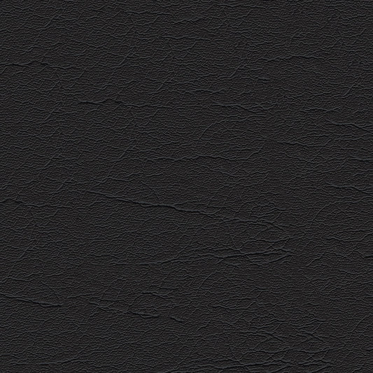 NICHOLASJOHN INC NJ-AREES Black Solid   Fabric - NJ25-142