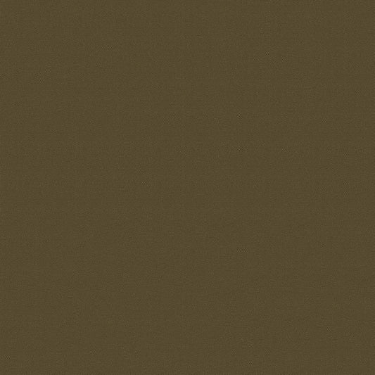 NICHOLASJOHN INC NJ-FOX Green Contemporary,Texture,Basketweave   Fabric - NJ25-3037