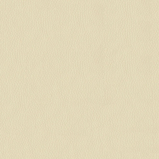 NICHOLASJOHN INC NJ-KENDRICK Cream Solid,Texture   Fabric - NJ25-2696