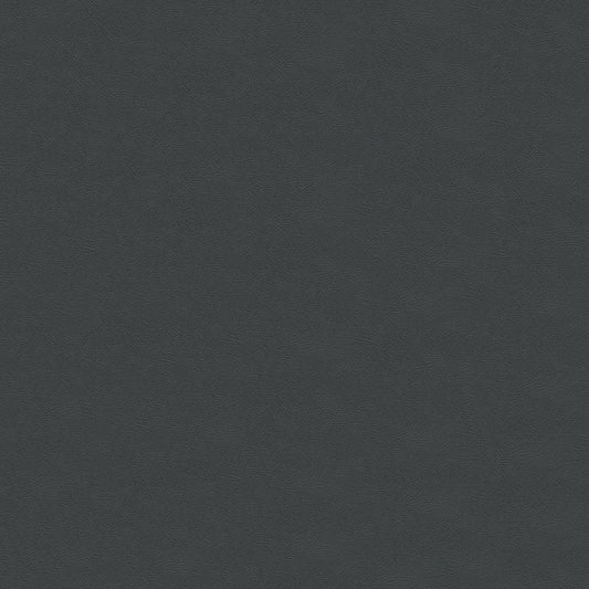 NICHOLASJOHN INC NJ-CIERRASOFT Gray Solid   Fabric - NJ25-3017