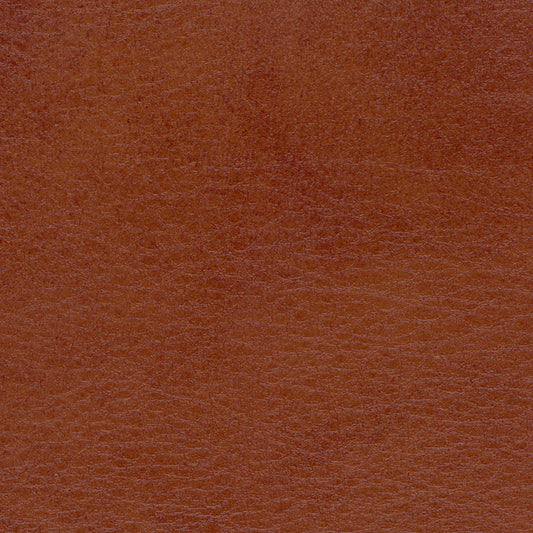 NICHOLASJOHN INC NJ-LEGOO Brown Solid   Fabric - NJ25-74