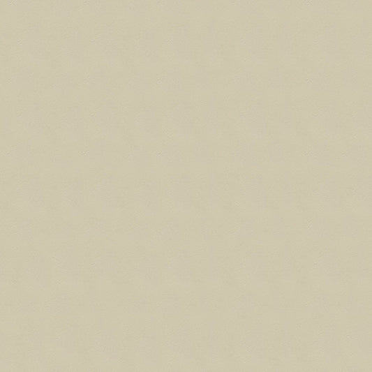 NICHOLASJOHN INC NJ-WINDOO Beige Solid   Fabric - NJ25-3739