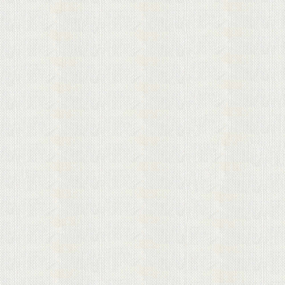 NICHOLASJOHN INC N-RUU Clear    Fabric - NJ25-2828