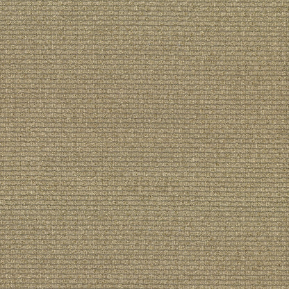 NICHOLASJOHN INC NJ-CHAINED Straw Solid   Fabric - NJ25-3574