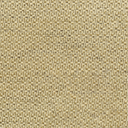 NICHOLASJOHN INC NJ-CARLOS Cream Abstract,Texture   Fabric - NJ25-2099