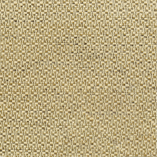 NICHOLASJOHN INC NJ-CARLOS Cream Abstract,Texture   Fabric - NJ25-2099