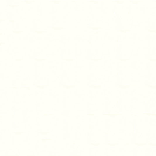 NICHOLASJOHN INC NJ-NAU White    Fabric - NJ25-2391