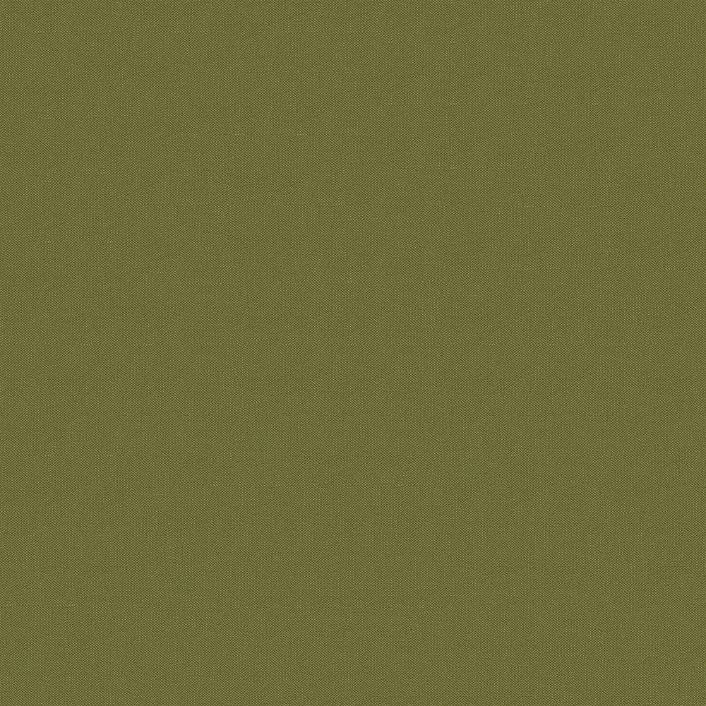 NICHOLASJOHN INC NJ-FOX Green Contemporary,Texture,Basketweave   Fabric - NJ25-3036