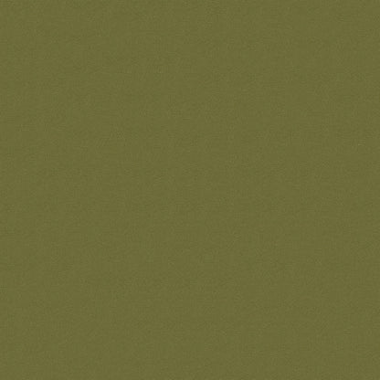 NICHOLASJOHN INC NJ-FOX Green Contemporary,Texture,Basketweave   Fabric - NJ25-3036
