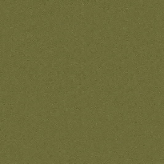 NICHOLASJOHN INC NJ-FOX Green Contemporary,Texture,Basketweave   Fabric - NJ25-3036
