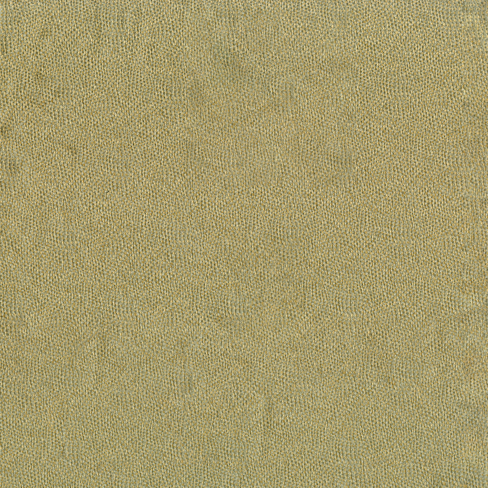 NICHOLASJOHN INC NJ-TARO Lichen Contemporary   Fabric - NJ25-3859