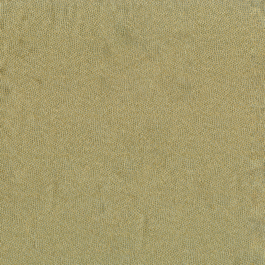 NICHOLASJOHN INC NJ-TARO Lichen Contemporary   Fabric - NJ25-3859