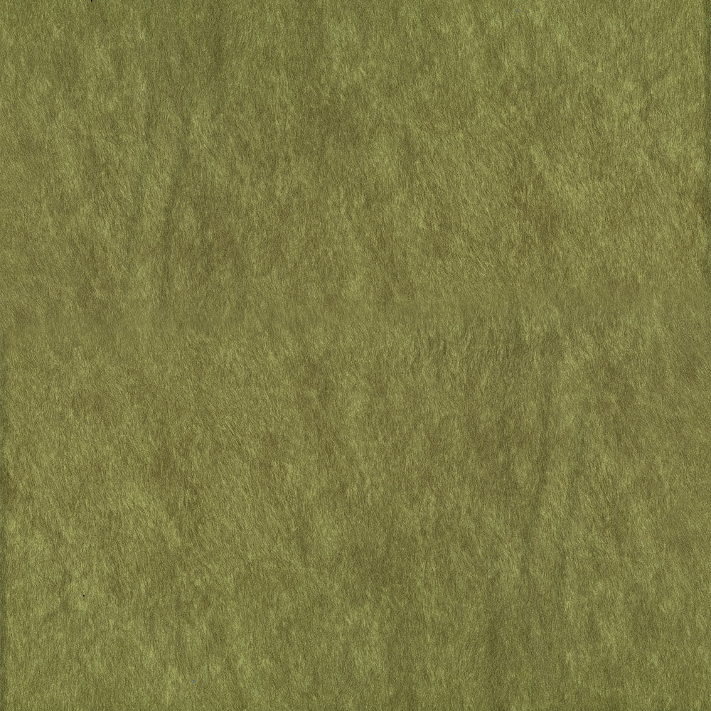 NICHOLASJOHN INC NJ-RIDE Grass Solid   Fabric - NJ25-541