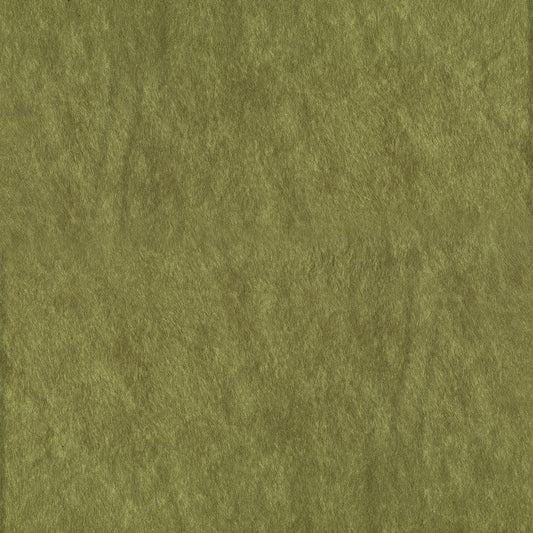 NICHOLASJOHN INC NJ-RIDE Grass Solid   Fabric - NJ25-541