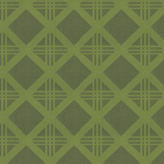 ABBEYSHEA Bold Contemporary   Desiger Outlet Fabric - BOLD205