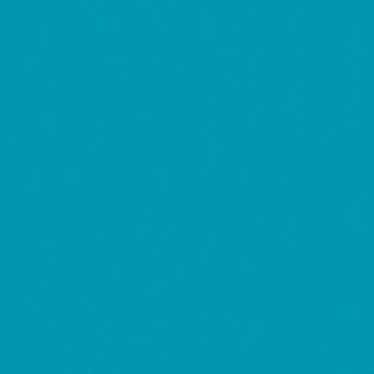 NICHOLASJOHN INC NJ-NAU Blue    Fabric - NJ25-2399