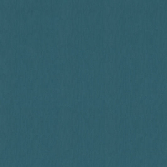 NICHOLASJOHN INC NJ-SEINE Phoenix Texture,Contemporary,Organic   Fabric - NJ25-928