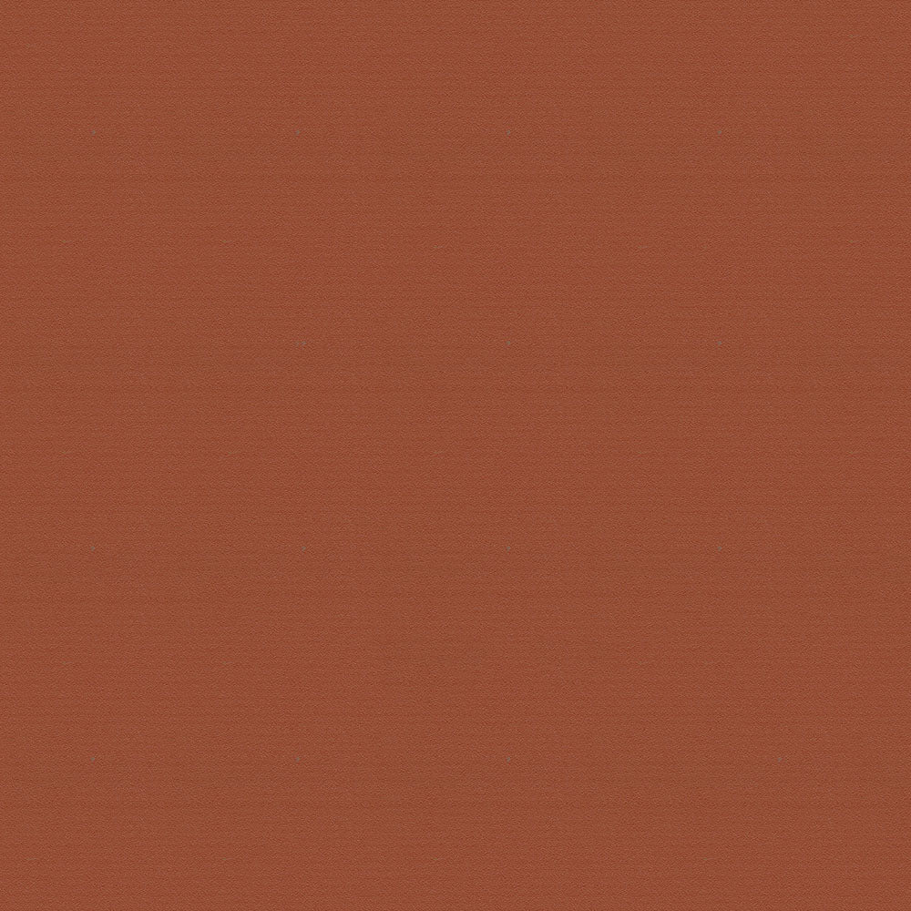 NICHOLASJOHN INC NJ-JOHN Brown Solid   Fabric - NJ25-2594