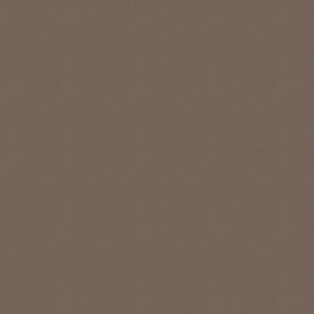 NICHOLASJOHN INC NJ-GRAN Beige Solid   Fabric - NJ25-1385