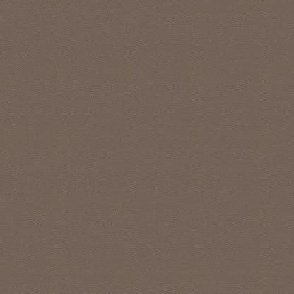 NICHOLASJOHN INC NJ-GRAN Beige Solid   Fabric - NJ25-1385