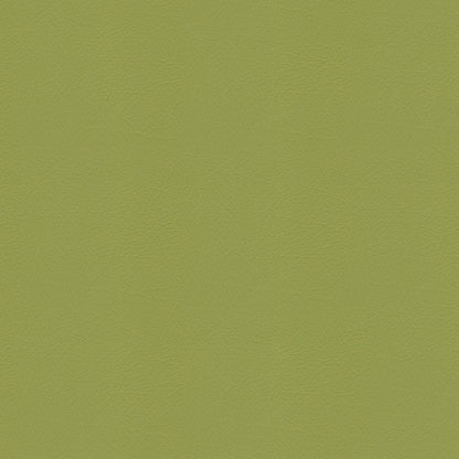 NICHOLASJOHN INC NJ-SHH Green Solid   Fabric - NJ25-3701