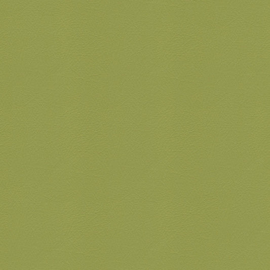 NICHOLASJOHN INC NJ-SHH Green Solid   Fabric - NJ25-3701