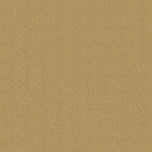 NICHOLASJOHN INC NJ-SHH Beige Solid   Fabric - NJ25-3679