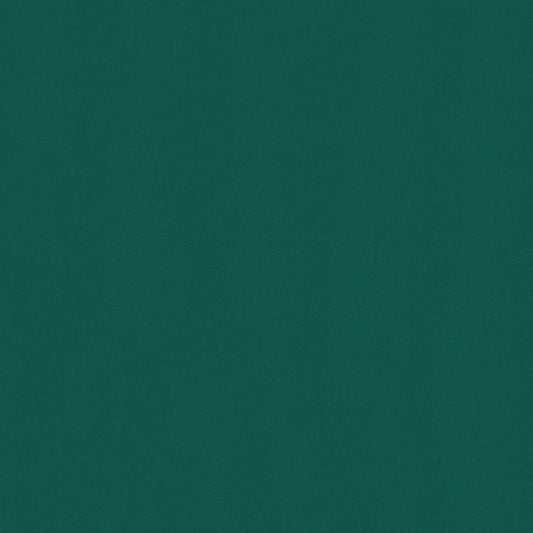 NICHOLASJOHN INC NJ-OASIS Green Solid   Fabric - NJ25-2463