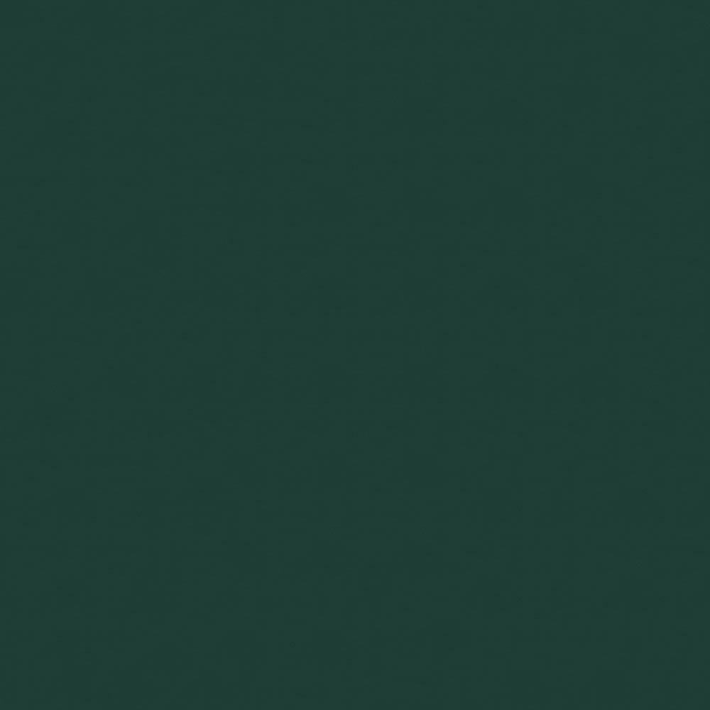 NICHOLASJOHN INC NJ-NAU Green Solid   Fabric - NJ25-2384