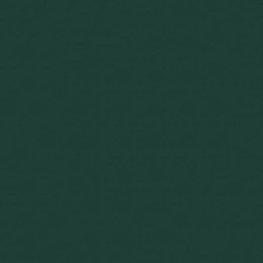 NICHOLASJOHN INC NJ-NAU Green Solid   Fabric - NJ25-2384