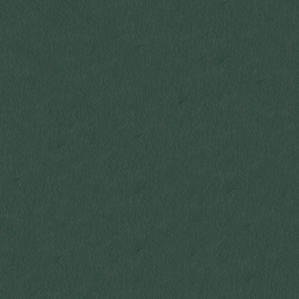NICHOLASJOHN INC NJ-CAPO Green Solid   Fabric - NJ25-477