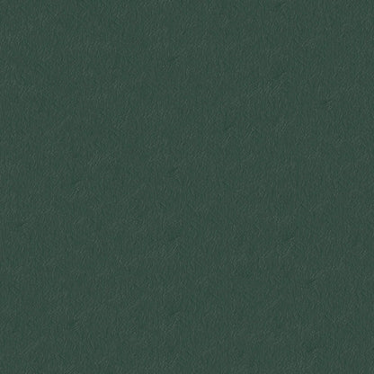 NICHOLASJOHN INC NJ-CAPO Green Solid   Fabric - NJ25-477
