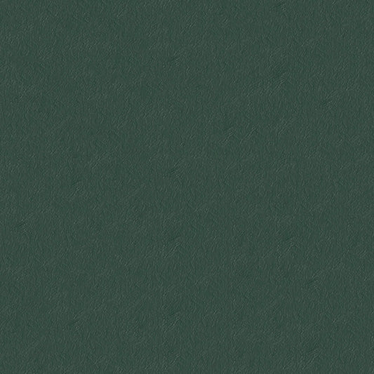 NICHOLASJOHN INC NJ-CAPO Green Solid   Fabric - NJ25-477