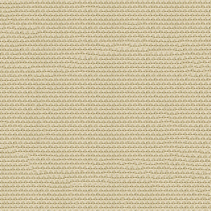 Beige solid fabric close-up showing a smooth textile surface.