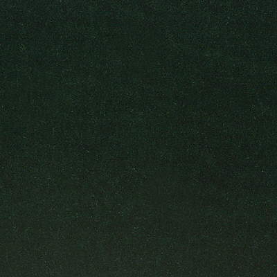 LEE JOFA  TEXTURE GREEN,,   - 2001199.3.0