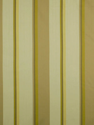 Robert Allen Shimmers | Sprout  Multipurpose     - 200249