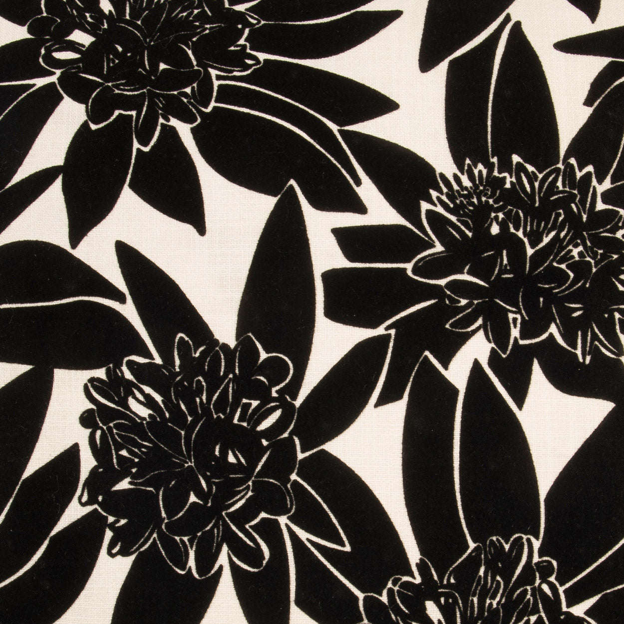 Black floral print on white fabric with large chrysanthemum-style blooms and bold leaves.