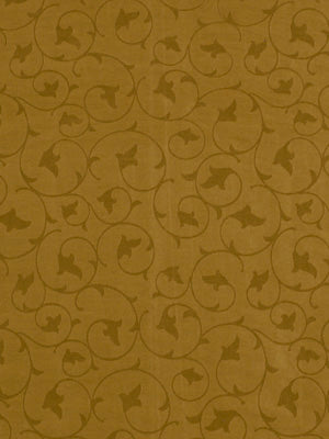 Robert Allen Maryellen | Cashew  Multipurpose     - 200762