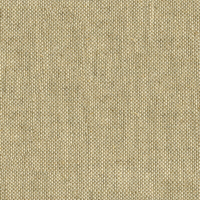 LEE JOFA  TEXTURE BEIGE,BEIGE,   - 2012170.16.0