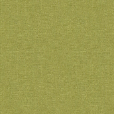 LEE JOFA  TEXTURE GREEN,GREEN,   - 2012175.3.0