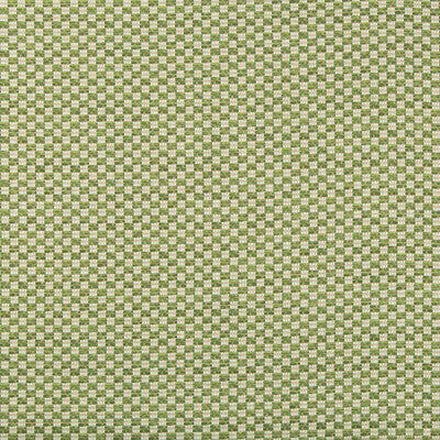 LEE JOFA INDOOR / OUTDOOR  GREEN,GREEN,   - 2018109.3.0