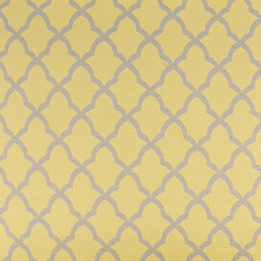 D.V. KAP HOME 2019-YARD Pacato Fabric Traditional  Yellow   - Pacato