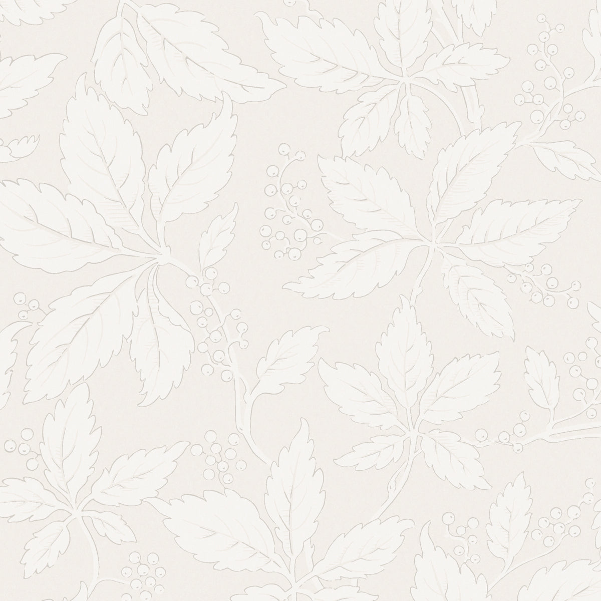 SCHUMACHER  Borastapeter VILDVIN   BONE   - 2027