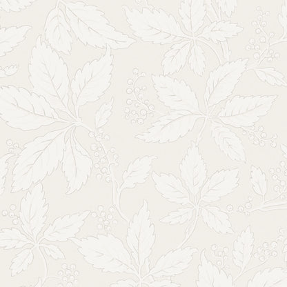 SCHUMACHER  Borastapeter VILDVIN   BONE   - 2027