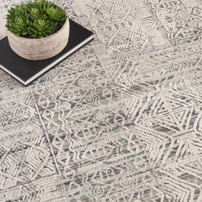 Geometric patterned beige-grey rug with a round ceramic pot and green succulent resting on black books.