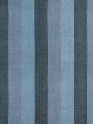 Vertical blue-striped woven fabric in light to dark blue shades; versatile upholstery or home decor textile.